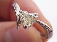 �s���N�T�t�@�C�A���U��΂߃L���[�g�Ƀ����C�N